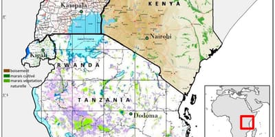 Mapa da tanzânia para mostrar o histórico de sites