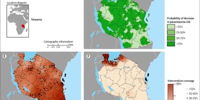 Mapa da malária na tanzânia 