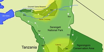 Mapa da tanzânia migração 